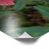 Impression Photo Floral rose Rhododendron (Coin)