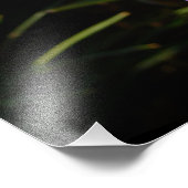 Impression Photo Flore de printemps Blue Hyacinth II (Coin)