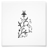 Impression Photo Flore décorative (Devant)