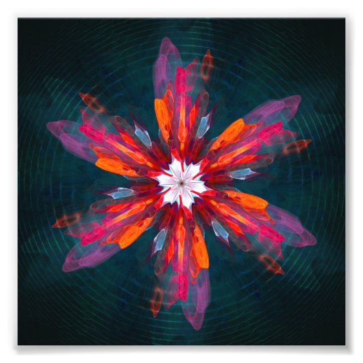 Impression Photo Flore Mandala Flowers Orange Red Blue Abstract (Devant)
