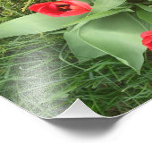 Impression Photo Flore rouge (Coin)