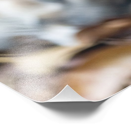 Impression Photo Floride Panther (Coin)