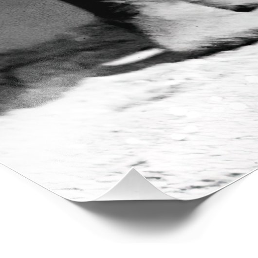 Impression Photo Floride Spring Break Beautés de bain 1920 (Coin)