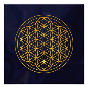 Impression Photo flower of life