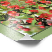 Impression Photo Flower Quince Red Blossoms Miroir Abstrait 8x10 (Coin)