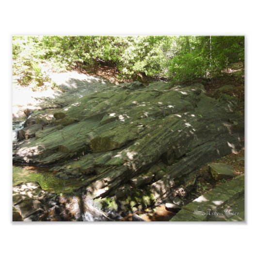 Impression Photo Flux (Devant)