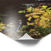 Impression Photo Flux dans les Smokies (Coin)