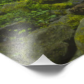 Impression Photo Flux humide tempéré de la rivière Columbia (Coin)