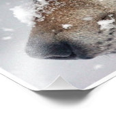 Impression Photo Focus (Coin)