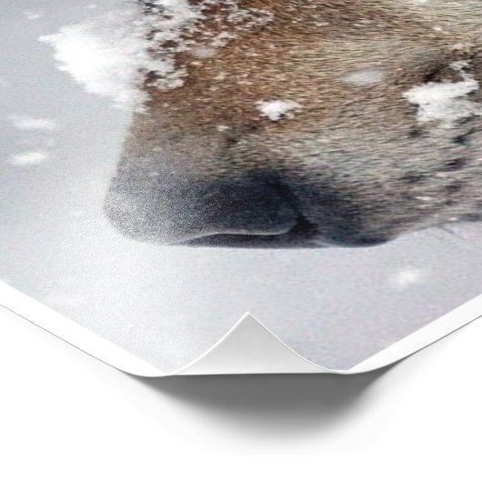 Impression Photo Focus (Coin)