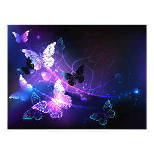 Impression Photo Fond avec papillons de nuit