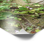 Impression Photo Fontaine (Coin)