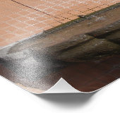 Impression Photo Fontaine à chat de la Plaza (Coin)