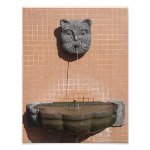 Impression Photo Fontaine à chat de la Plaza