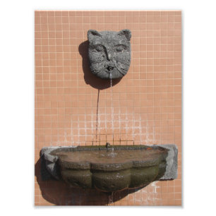 Impression Photo Fontaine à chats de la Plaza