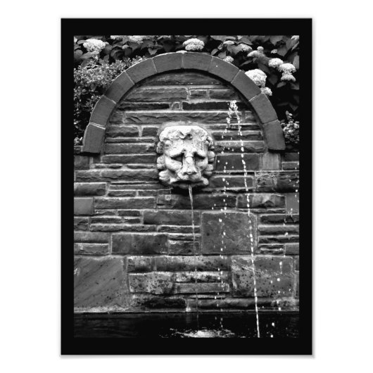 Impression Photo Fontaine de Lion (Devant)