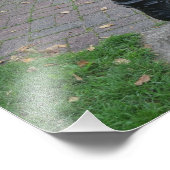 Impression Photo Fontaine d'eau potable antique (Coin)