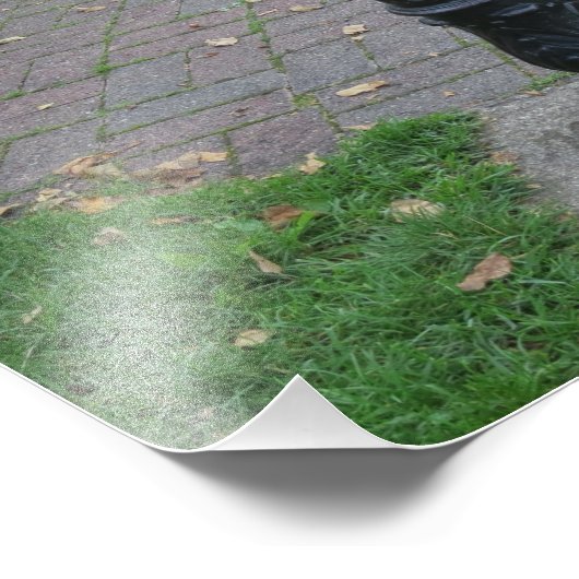 Impression Photo Fontaine d'eau potable antique (Coin)