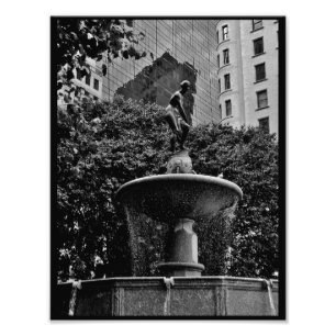 Impression Photo Fontaine Pulitzer
