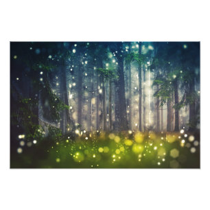 Impression Photo Forêt, arbres en forêt, crépuscule