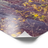 Impression Photo Forêt automnale (Coin)