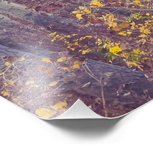 Impression Photo Forêt automnale (Coin)