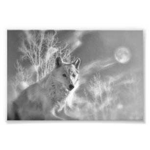 IMPRESSION PHOTO FORÊT BLANCHE EN BOIS BLANC