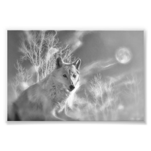 IMPRESSION PHOTO FORÊT BLANCHE EN BOIS BLANC (Devant)
