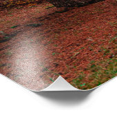 Impression Photo Forêt d'automne (Coin)