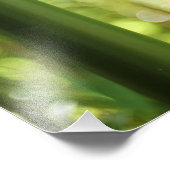 Impression Photo Forêt de bambou (impression) (Coin)