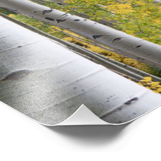 Impression Photo Forêt de Birch d'automne (Coin)