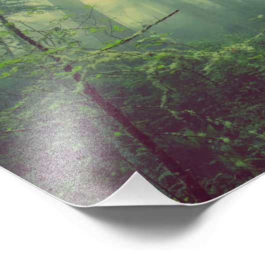 Impression Photo Forêt de Misty (Coin)