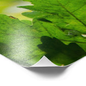 Impression Photo Forêt de papillons enchantée (Coin)