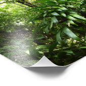 Impression Photo Forêt de pluie dominicaine I Nature verte tropical (Coin)