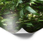 Impression Photo Forêt de pluie dominicaine I Nature verte tropical (Coin)