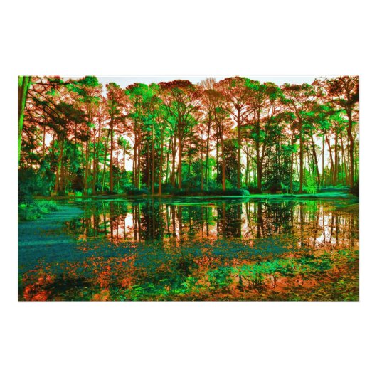Impression Photo Forêt d'Imaginaires par Shirley Taylor (Devant)