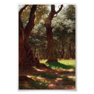 Impression Photo Forêt d'oliviers à Cap Saint Martin