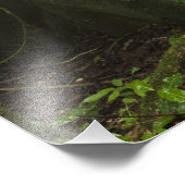 Impression Photo Forêt tropicale, rivière Mapari Nord Rupununi, (Coin)