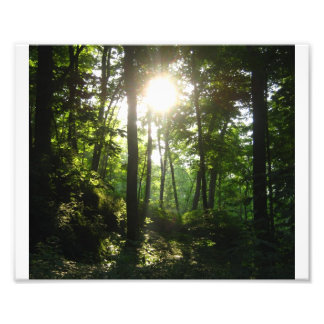 Impression Photo Forêt Wapsipinicon