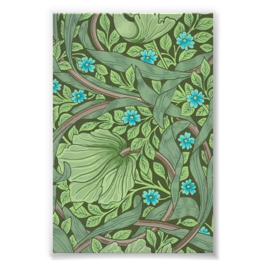 Impression Photo Forget-Me-Nots, Wallpaper de William Morris (Devant)