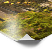 Impression Photo Forsyth Park - Photo, Savannah, Géorgie (GA) USA (Coin)