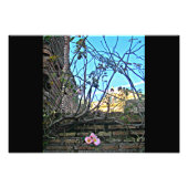 Impression Photo Forum Romain Fleurs 2 (Devant)