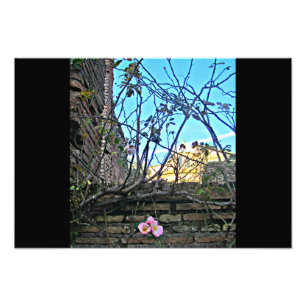 Impression Photo Forum Romain Fleurs 2