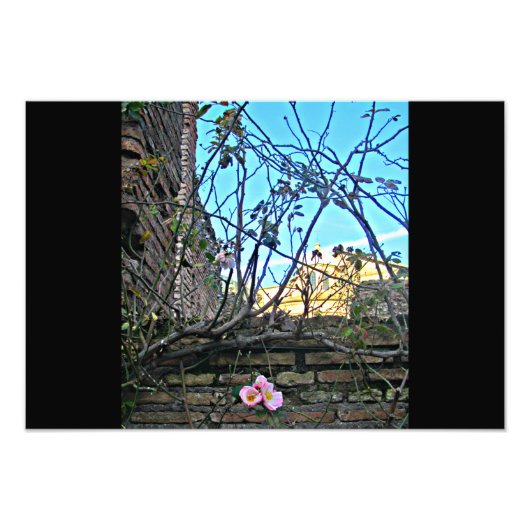 Impression Photo Forum Romain Fleurs 2 (Devant)