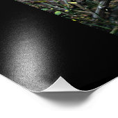 Impression Photo Forum Romain Fleurs 2 (Coin)