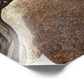 Impression Photo Fossile D'Un Oiseau Extinct Dans Les Rochers - Art (Coin)