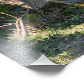 Impression Photo Fox (Coin)