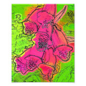 IMPRESSION PHOTO FOXGLOVES (Devant)