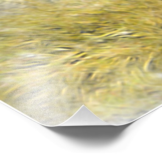 Impression Photo Foxhound (Coin)