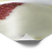 Impression Photo Fraises trempées dans le chocolat blanc (Coin)